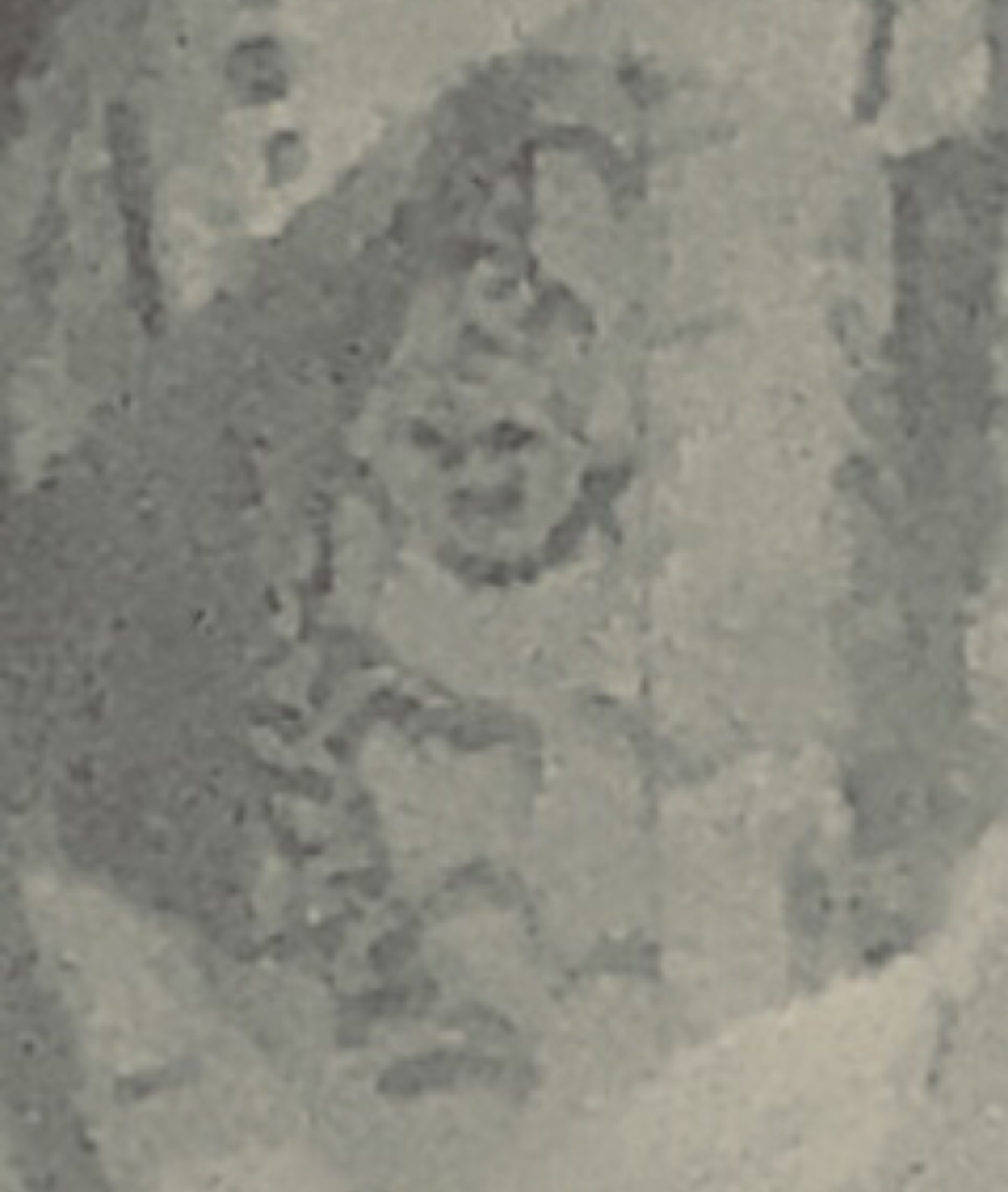 Photograph from PsychicGavin's paranormal work